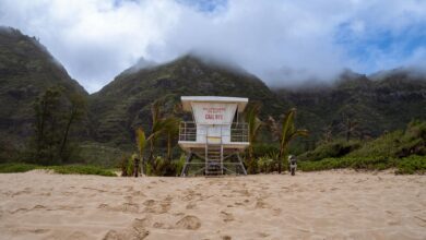 lifeguard tower on hawaiian beach with mountain backdrop