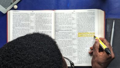 top view photo of man reading a book