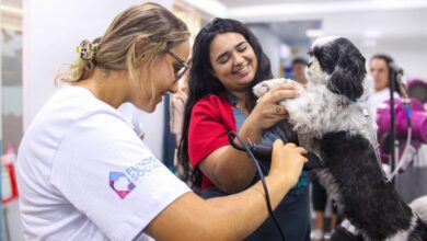 SP Oferece Cursos Gratuitos de Qualificação Profissional em Carretas Móveis