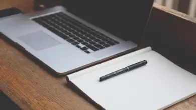 SP Oferece Cursos Gratuitos de Qualificação e Aumenta Empregabilidade na Região SP Oferece Cursos Gratuitos de Qualificação e Aumenta Empregabilidade na Região